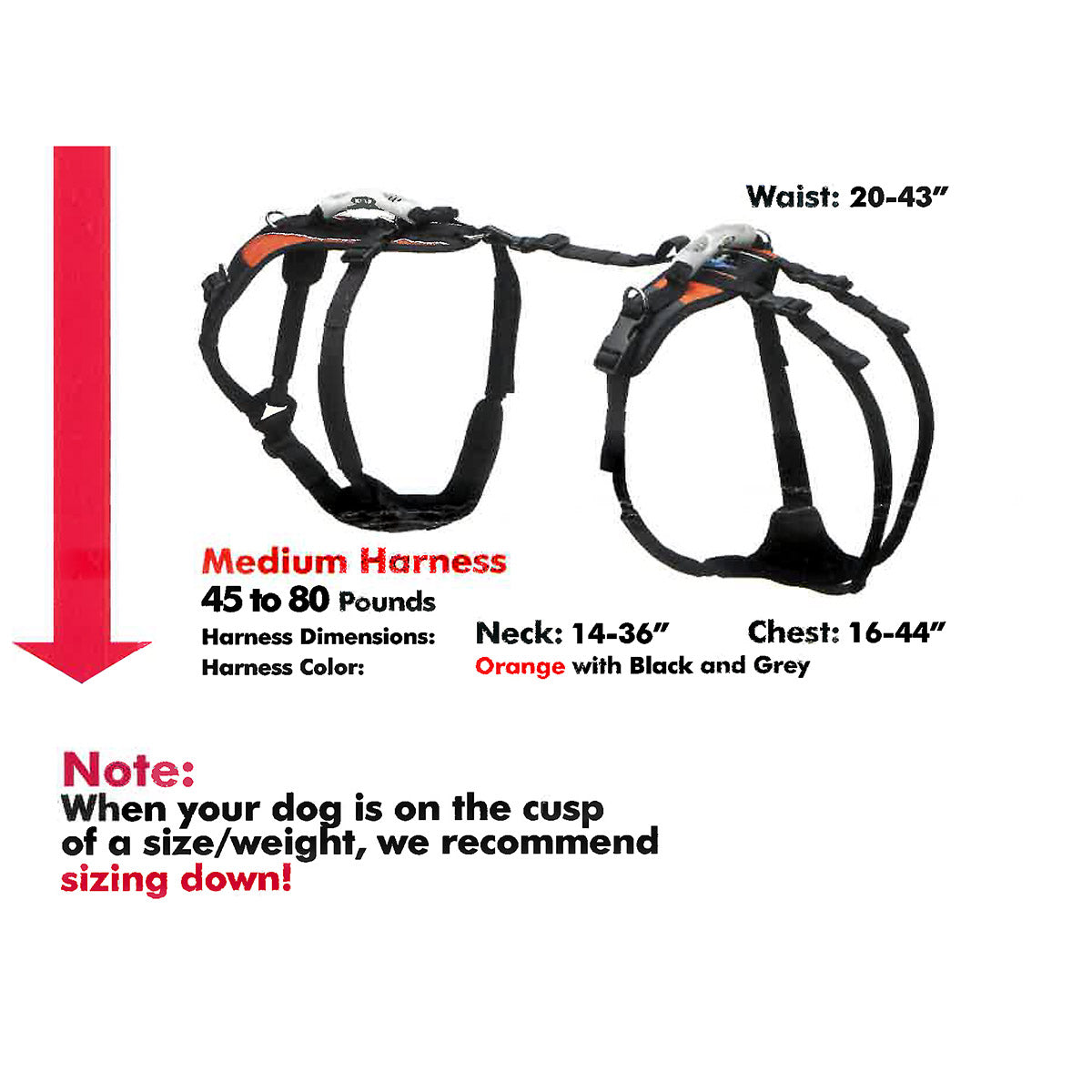 Harness - Help Em' Up Conventional