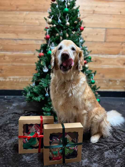 Central Vet Holiday Gift Box - Dog MEDIUM/LARGE
