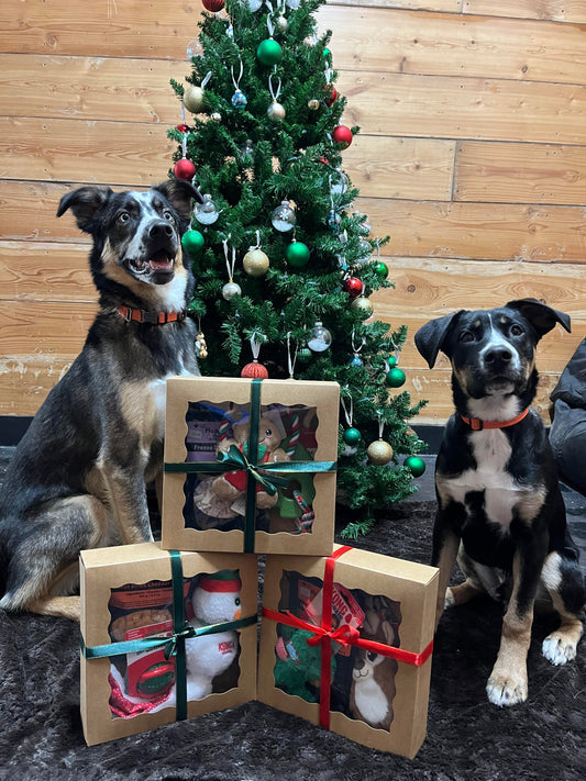 Central Vet Holiday Gift Box - Dog SMALL