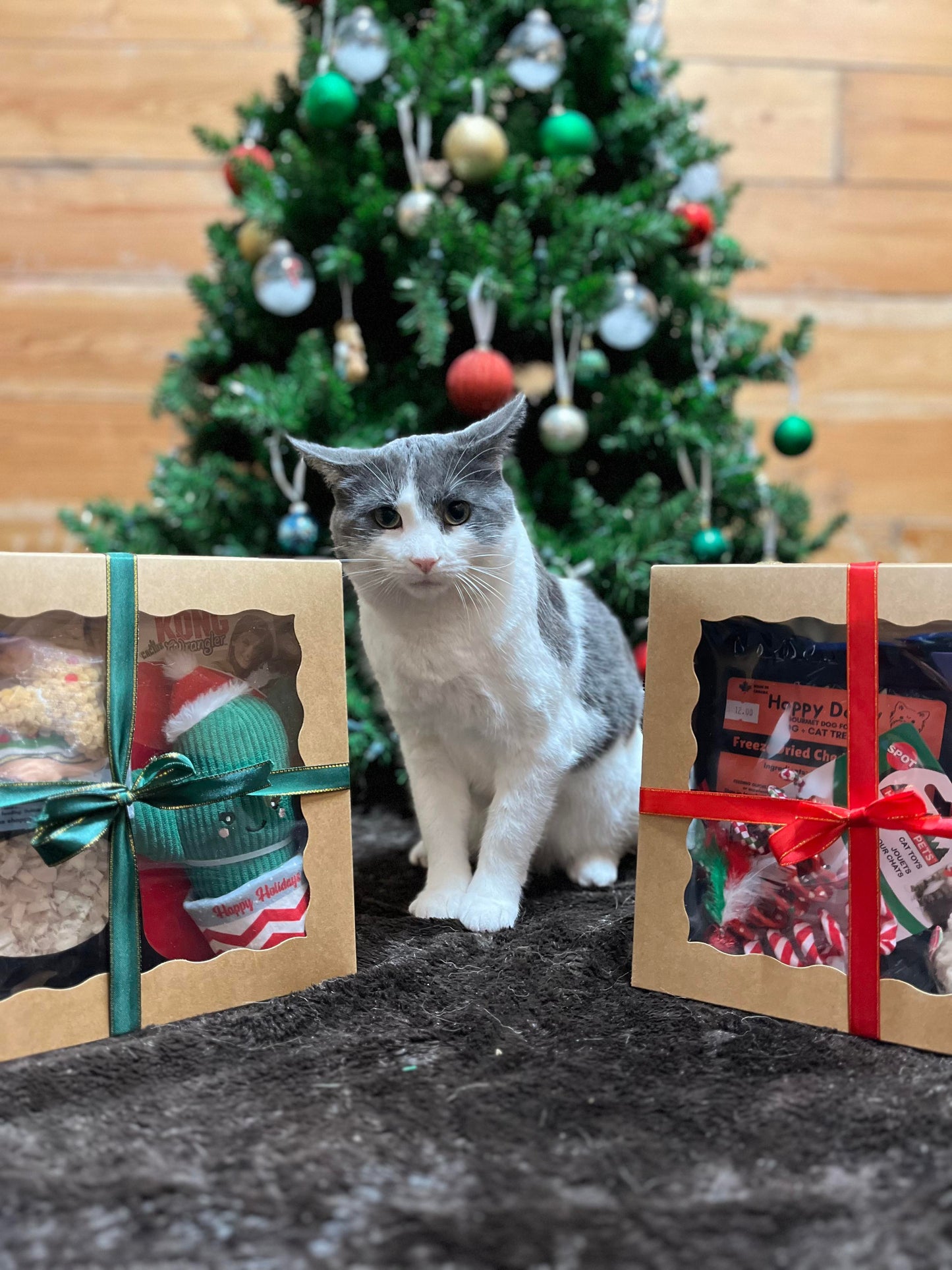 Central Vet Holiday Gift Box - Cat