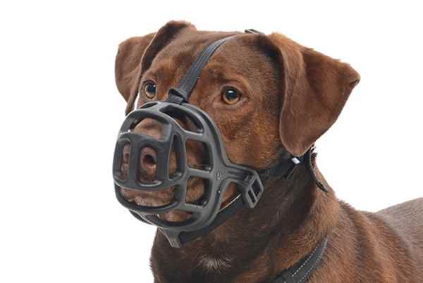 Muzzle, Dog - Kruuse Basket BLACK