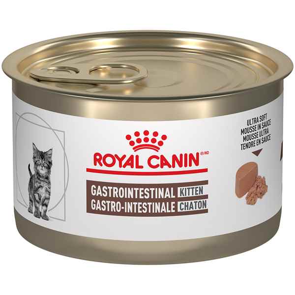 Kitten mousse 2025 royal canin