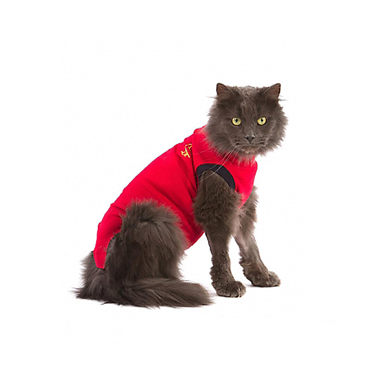 Body Suit - Medical Pet Shirt Feline